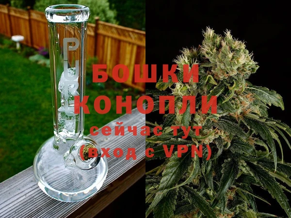 крисы Бронницы