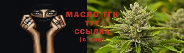 ГАЛЛЮЦИНОГЕННЫЕ ГРИБЫ Тайга