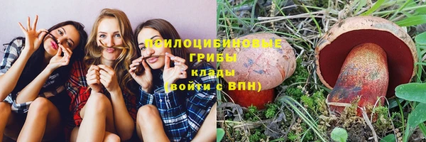крисы Бронницы