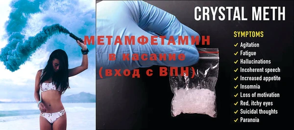 ГАЛЛЮЦИНОГЕННЫЕ ГРИБЫ Тайга
